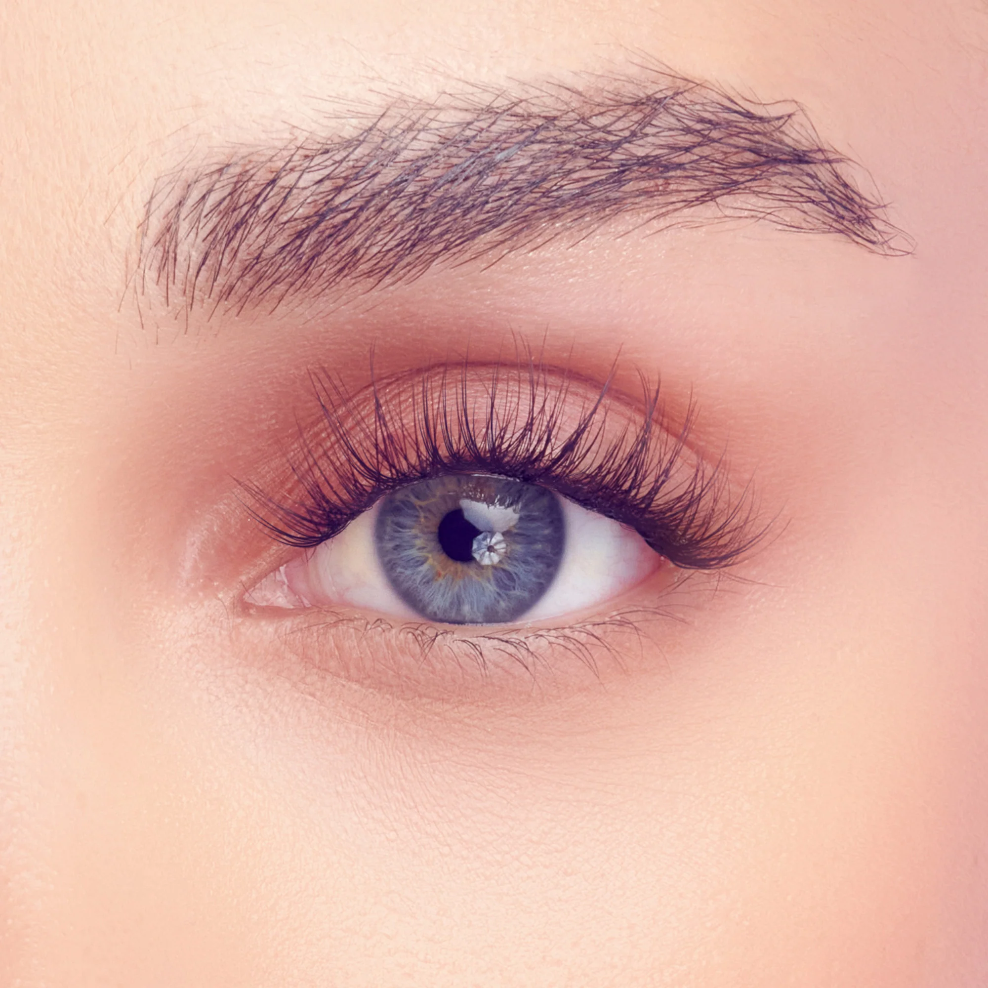 FALSCARA Studio Lash Extension Kit - Delicate - 54 Wisps - Image 3