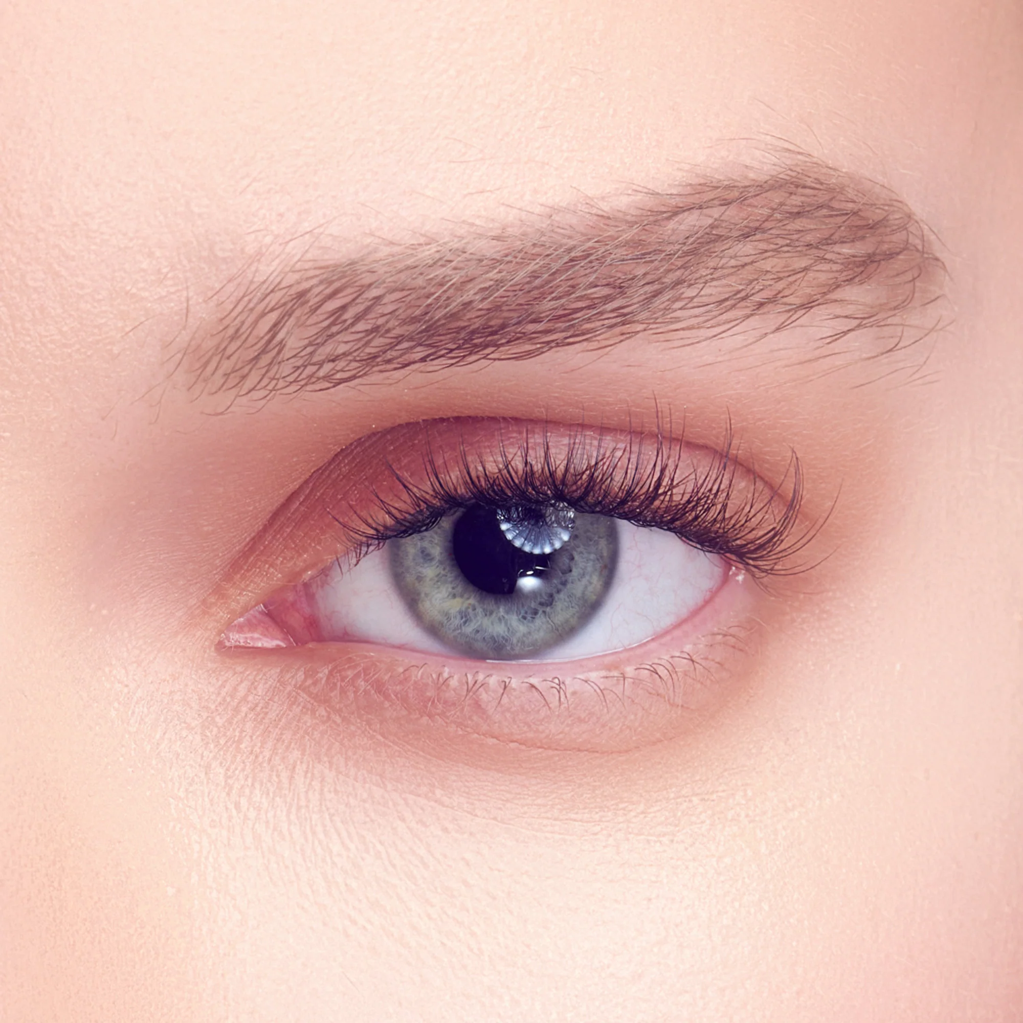 FALSCARA Studio Lash Extension Kit - Petite Dainty - 54 Wisps - Image 3