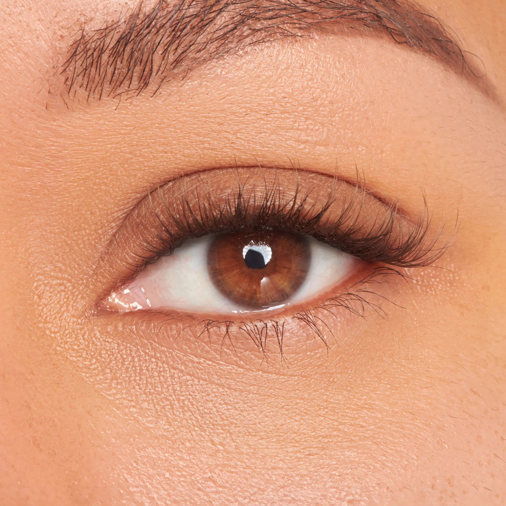 FALSCARA Studio Lash Palette - Dark Chocolate Light - 18 Wisps - Image 2