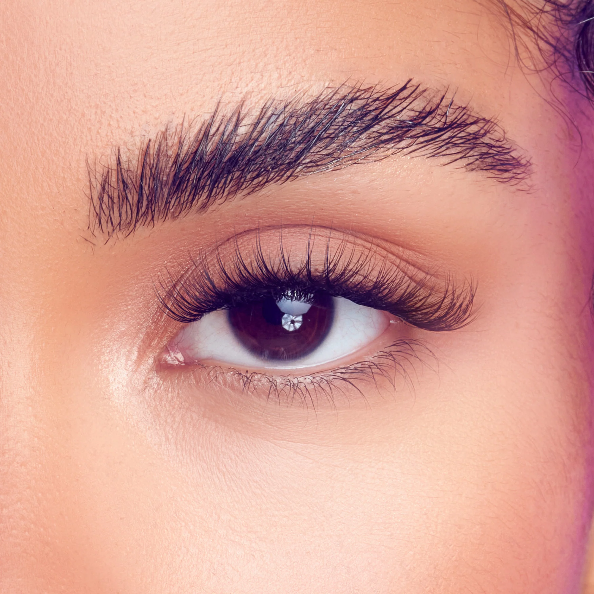 FALSCARA Studio Lash Palette - Xtra Fluffy - 18 Wisps - Image 4