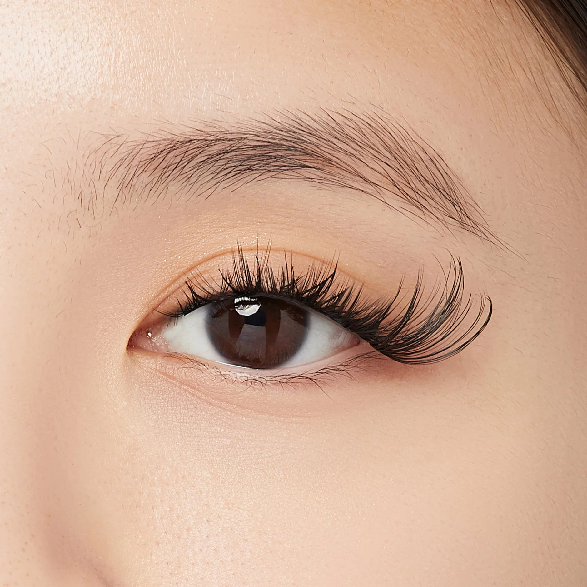 FALSCARA Wisps Multipack – Cat Eye - Image 4