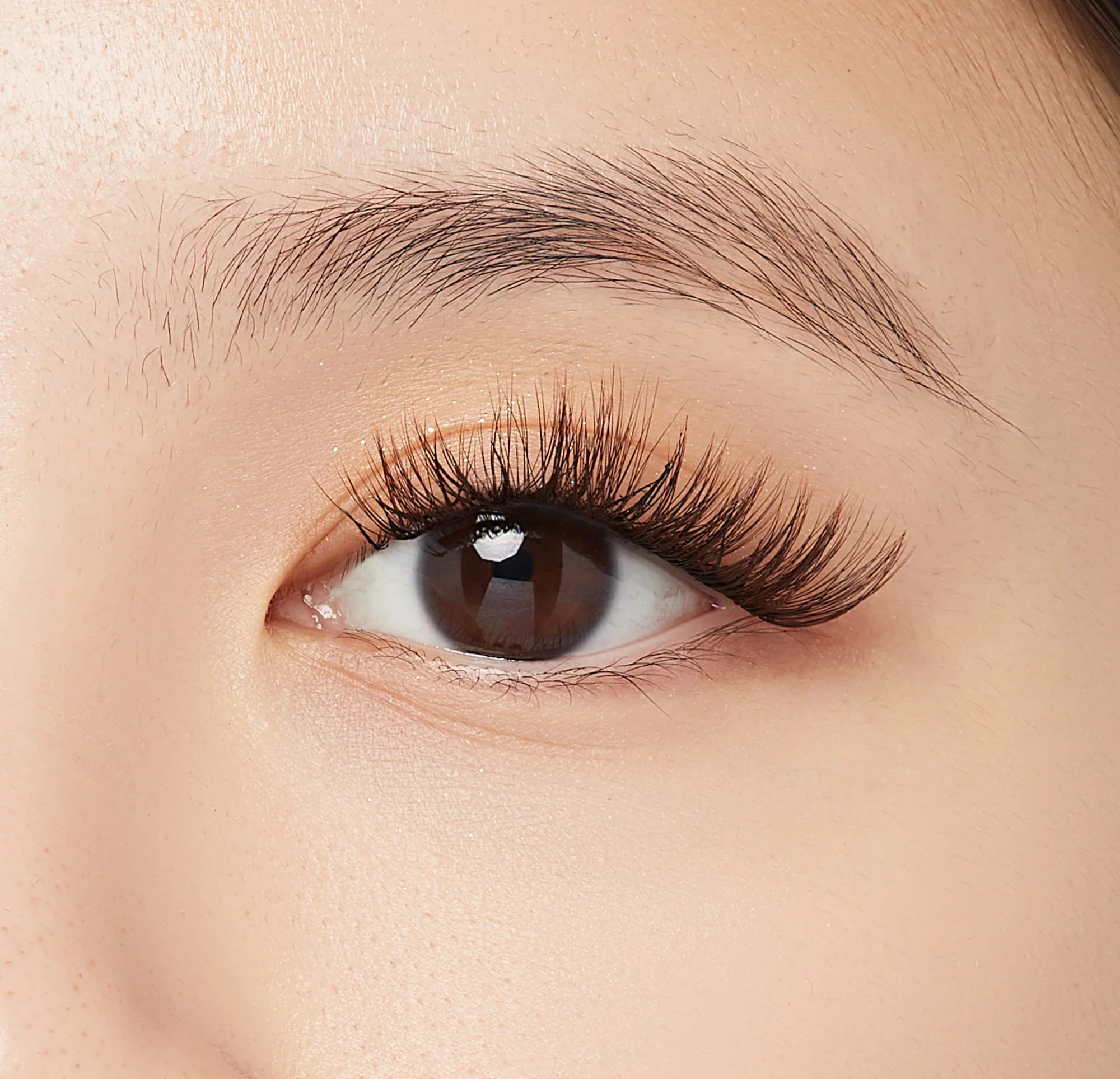 FALSCARA Wisps Multipack - Mocha - Image 3
