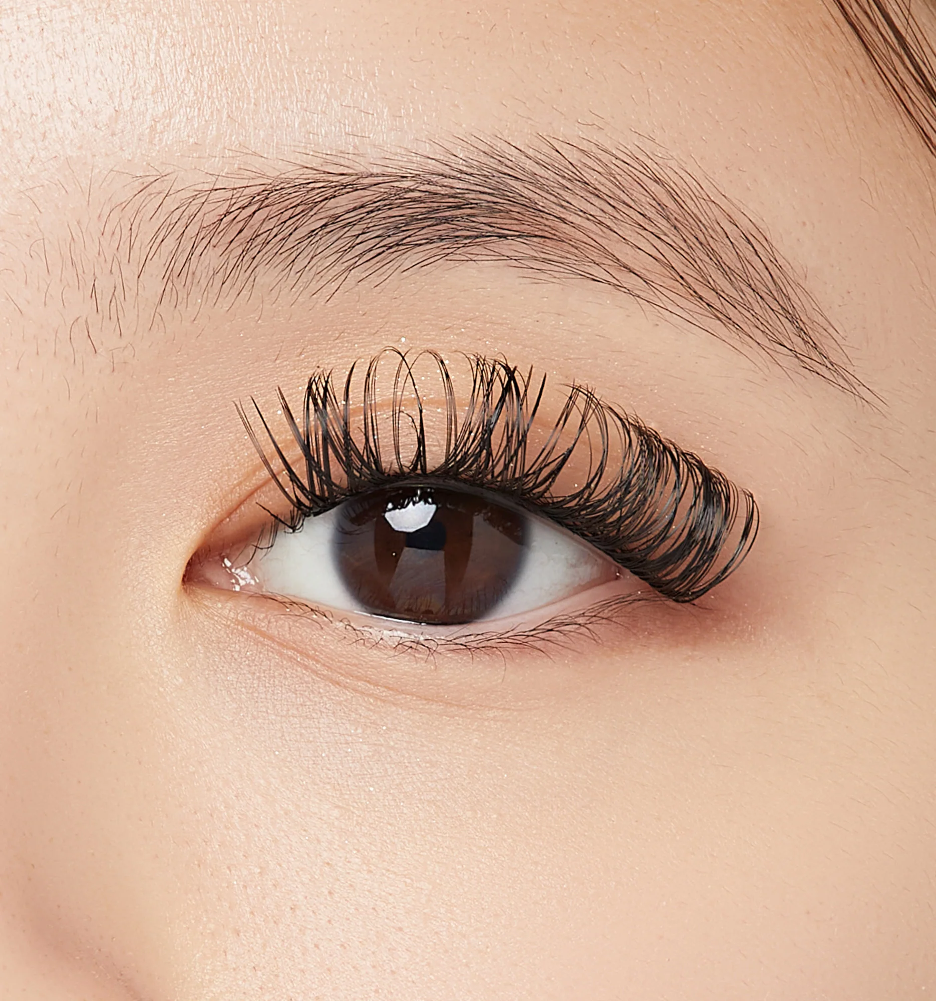 FALSCARA Wisps Multipack – L Curl - Image 4