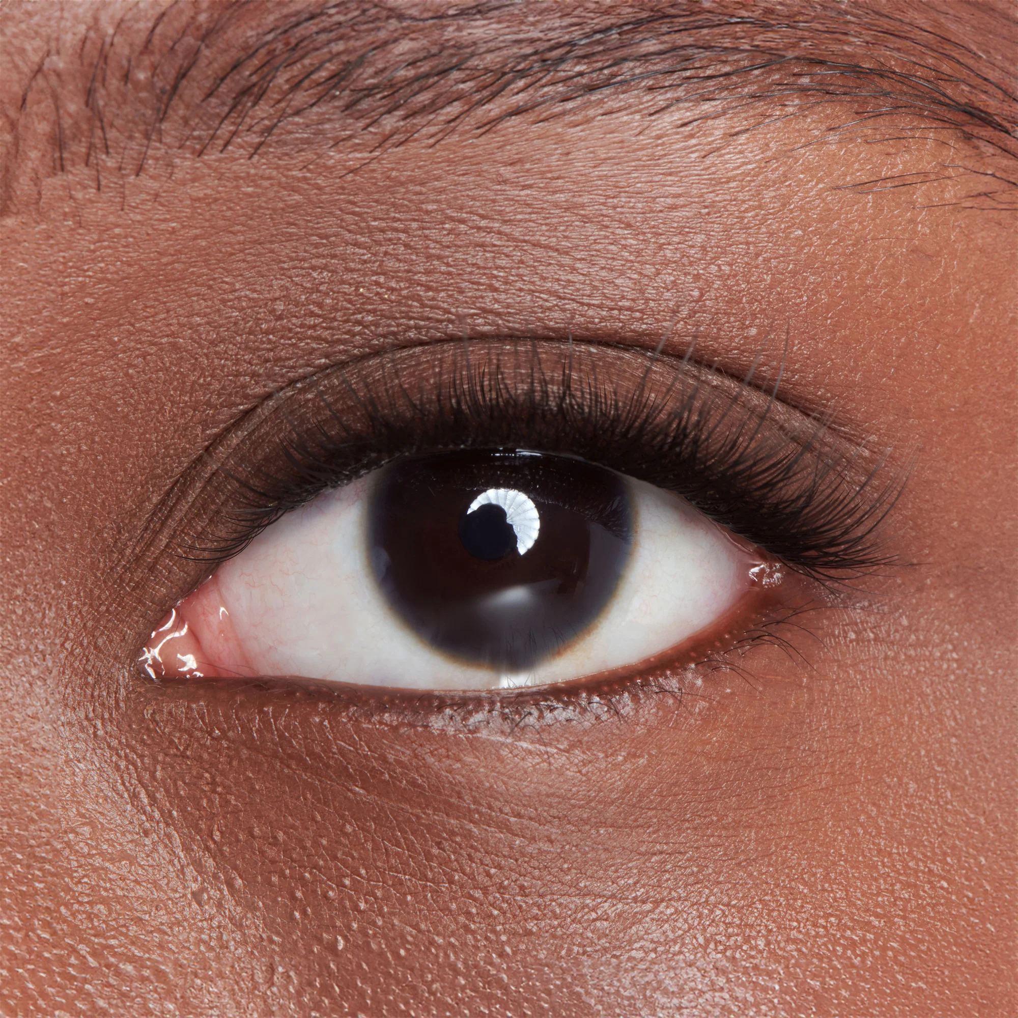 imPRESS Falsies Long Lasting Holiday Lashes - Demi Bold - Image 4