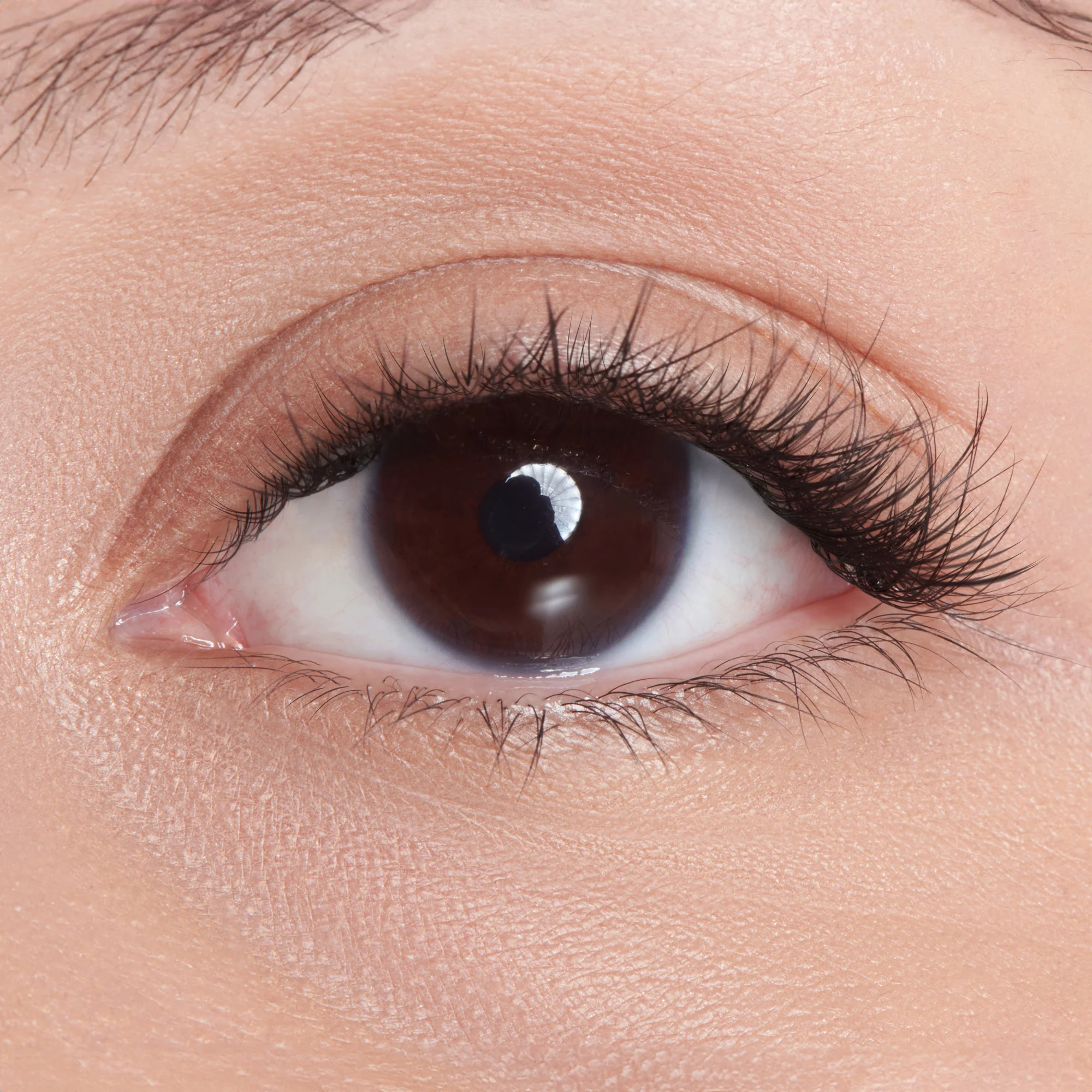 imPRESS Falsies Long Lasting Self Adhesive Eyelashes – Demi Edgy - Image 4