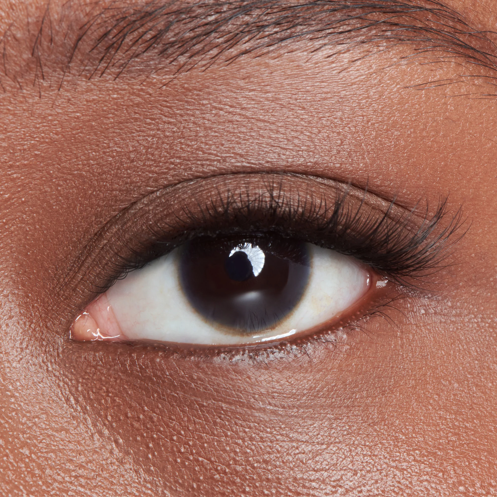 imPRESS Falsies Long Lasting Self Adhesive Eyelashes – Demi Natural - Image 4