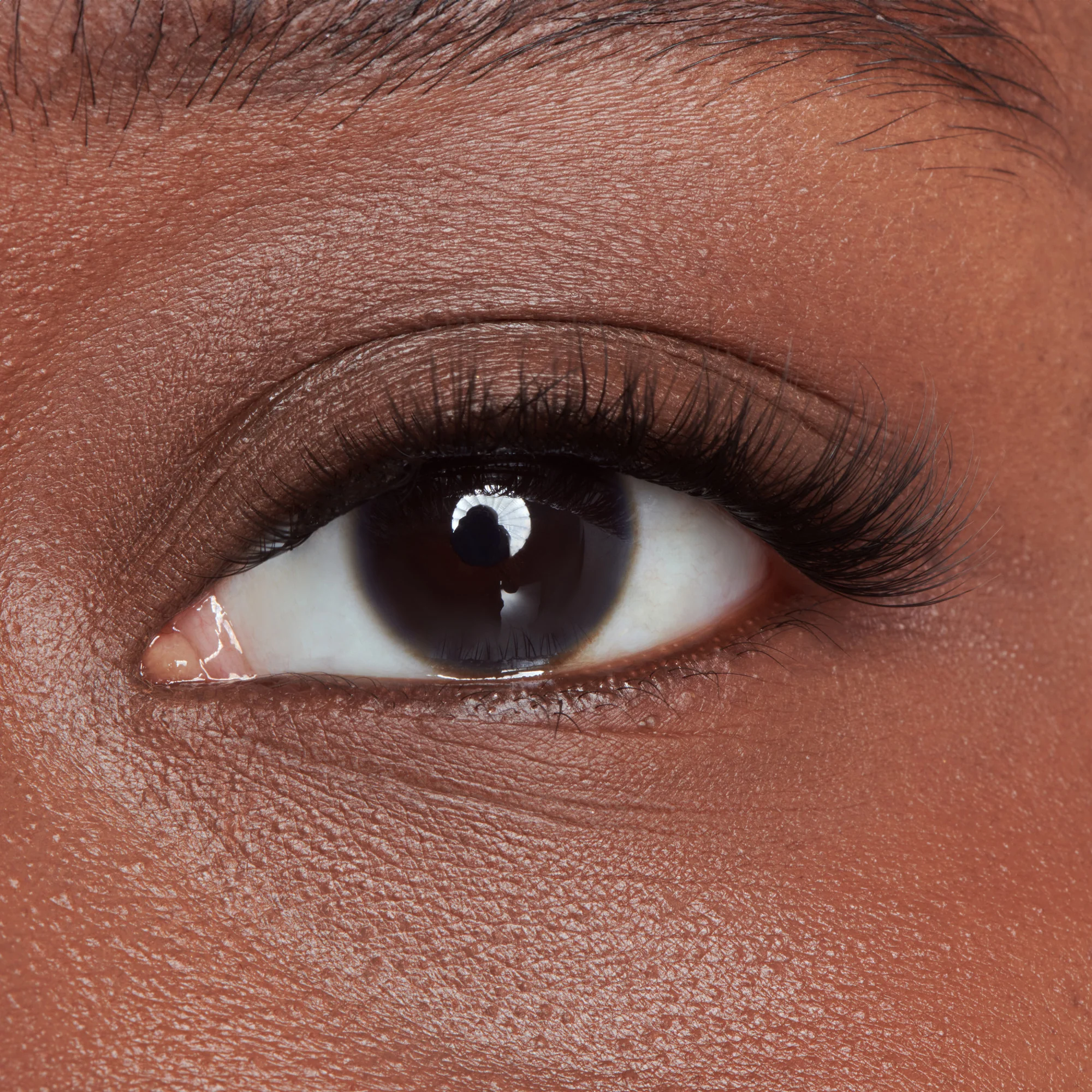 imPRESS Falsies Long Lasting Holiday Lashes - Demi Wispy - Image 4
