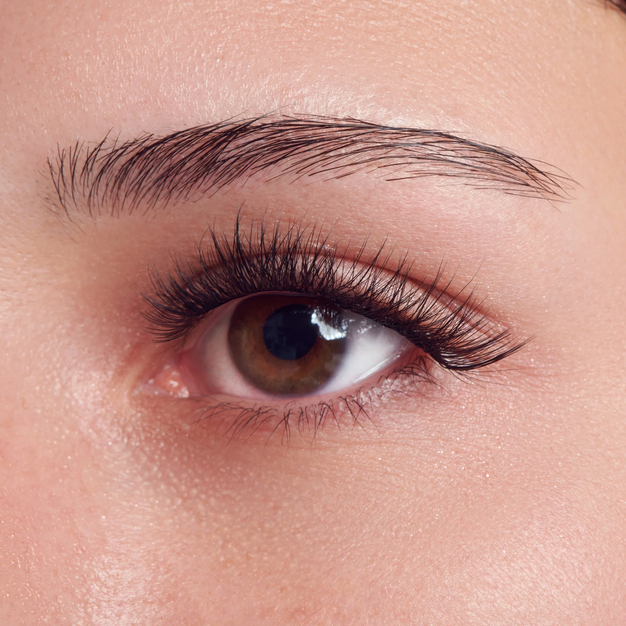 imPRESS Falsies Long Lasting Pre-Glued Lash Clusters Kit - Demi Bold - Image 2