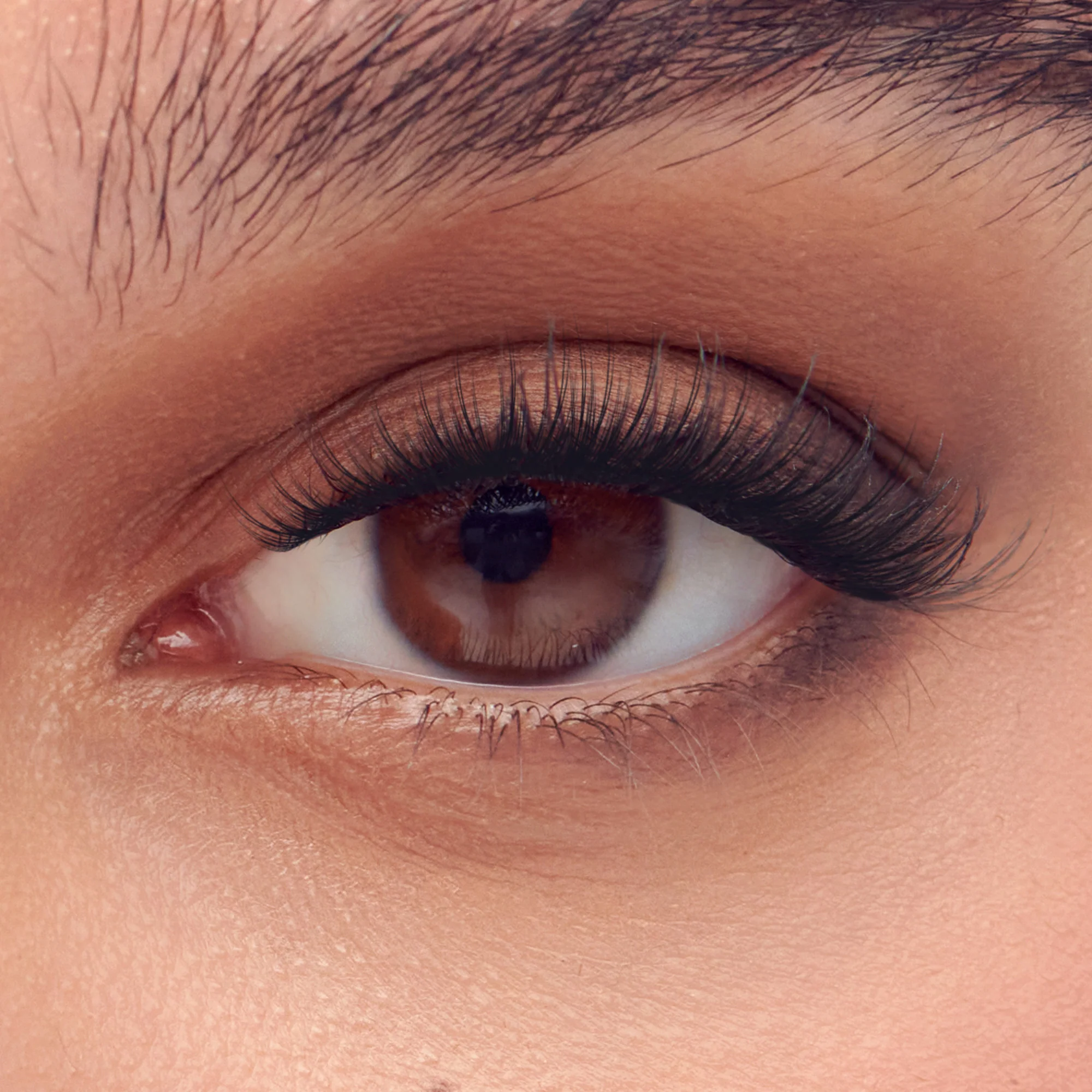 imPRESS Falsies Long Lasting Self Adhesive Eyelashes – Demi Bold - Image 4