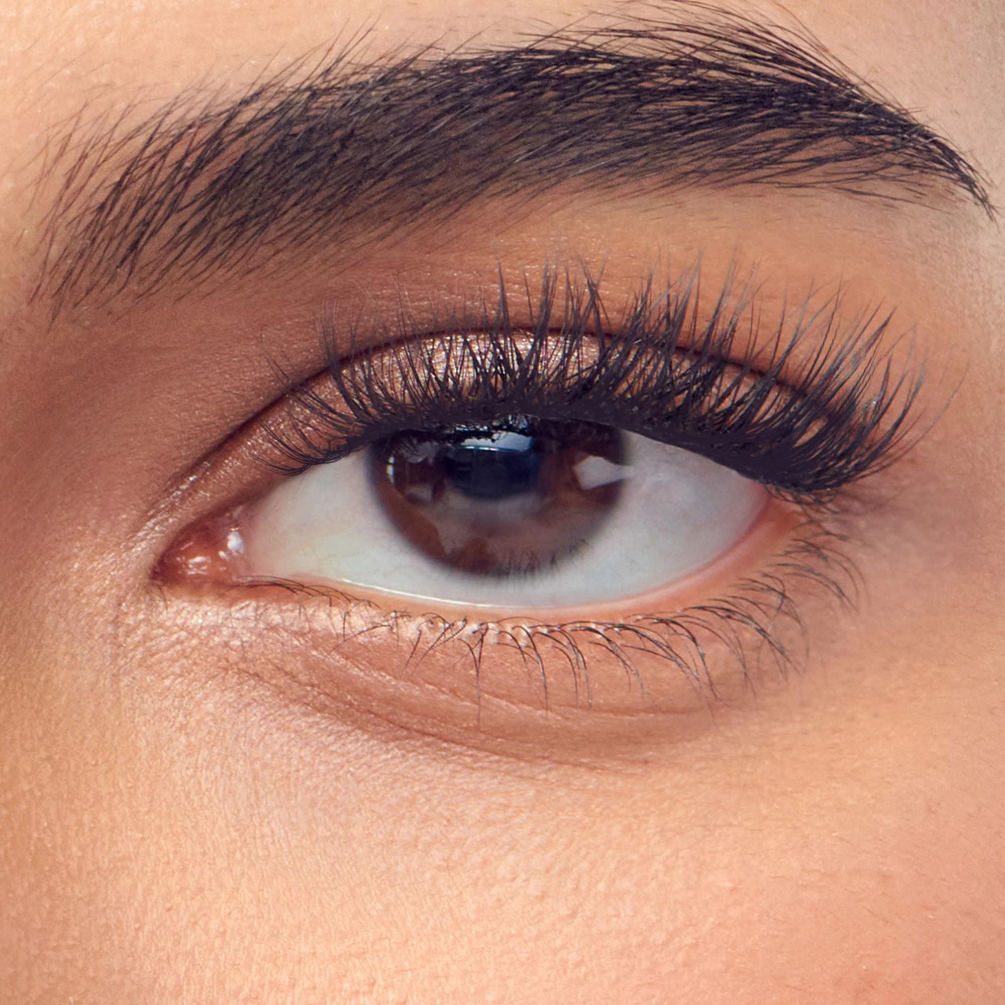 imPRESS Pre-Glued Individual Lashes Multipack, Classic Natural, 60 Lash Clusters - Image 4
