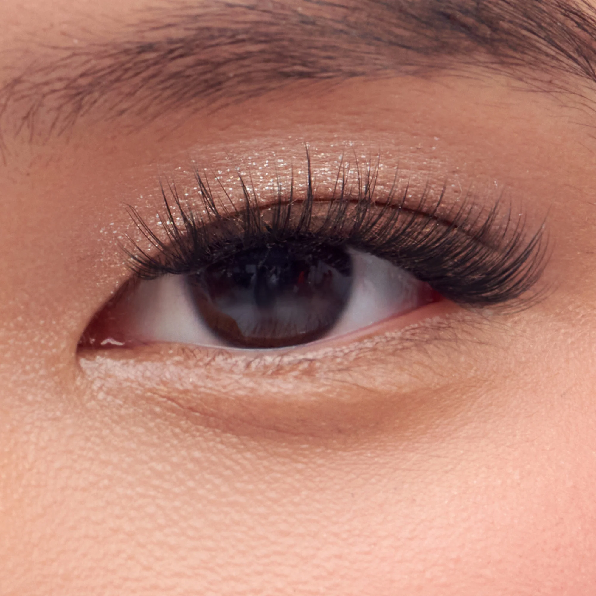 imPRESS Pre-Glued Lash Clusters Multipack - Classic Natural - Image 4
