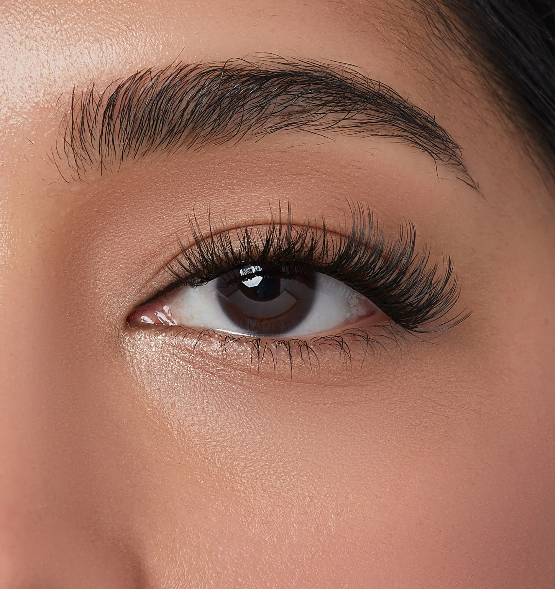 imPRESS Falsies Self Adhesive Eyelashes, 12 Lash Clusters - Lavish - Image 4