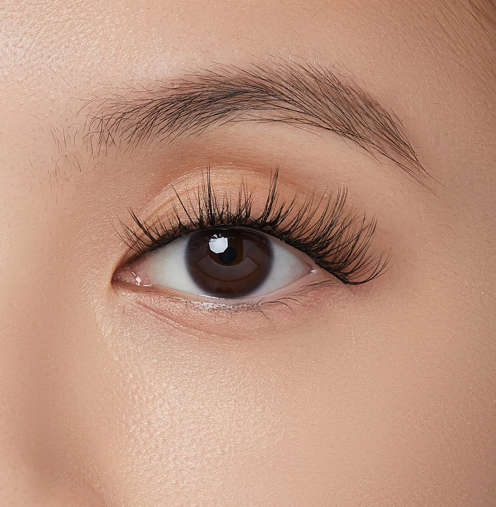 imPRESS Falsies Self Adhesive Eyelashes, 12 Lash Clusters - Modern - Image 4
