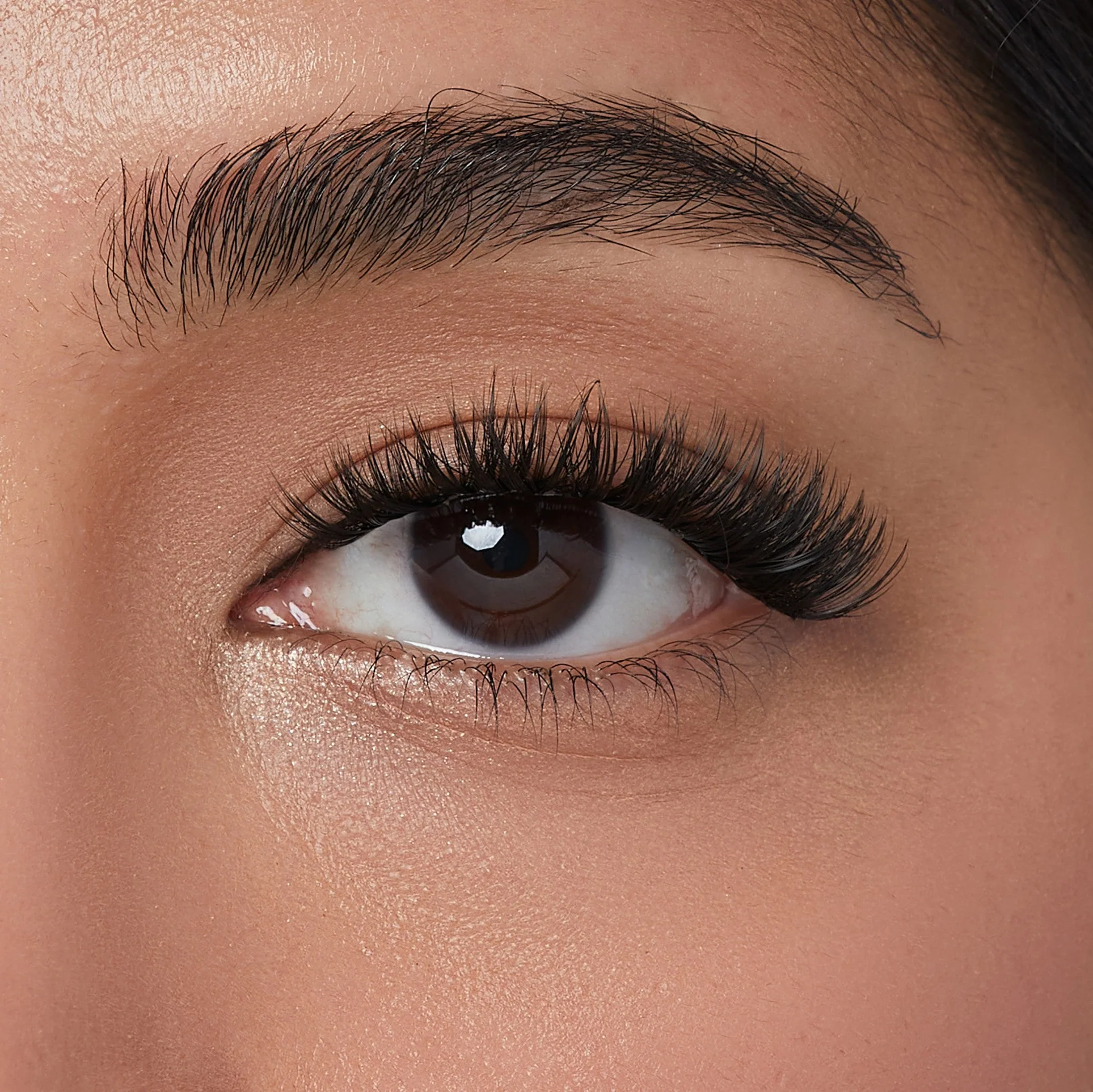 imPRESS Falsies Self Adhesive Eyelashes, 12 Lash Clusters - Refined - Image 3