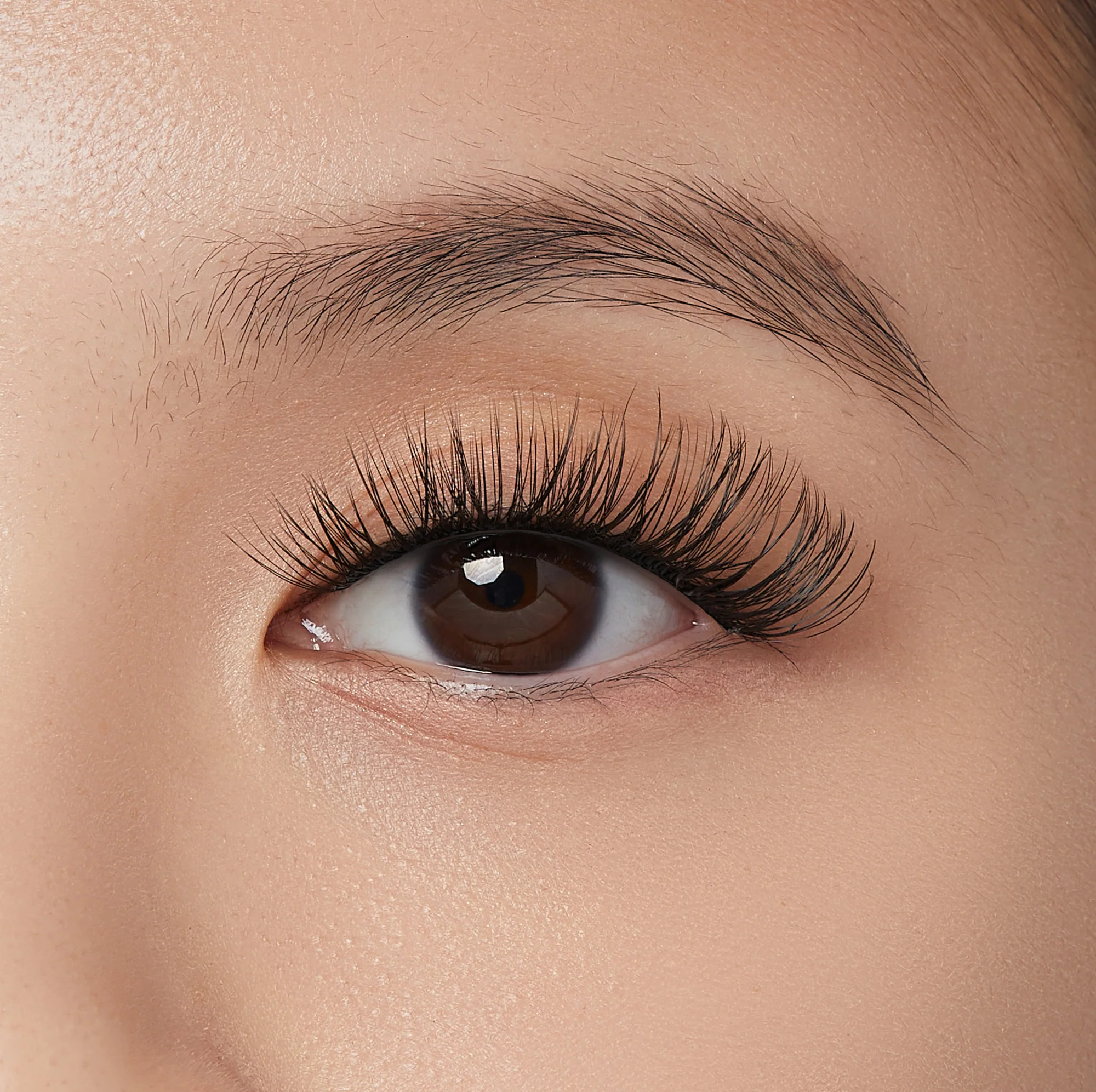 imPRESS Falsies Self Adhesive Eyelashes, 12 Lash Clusters - Sleek - Image 4