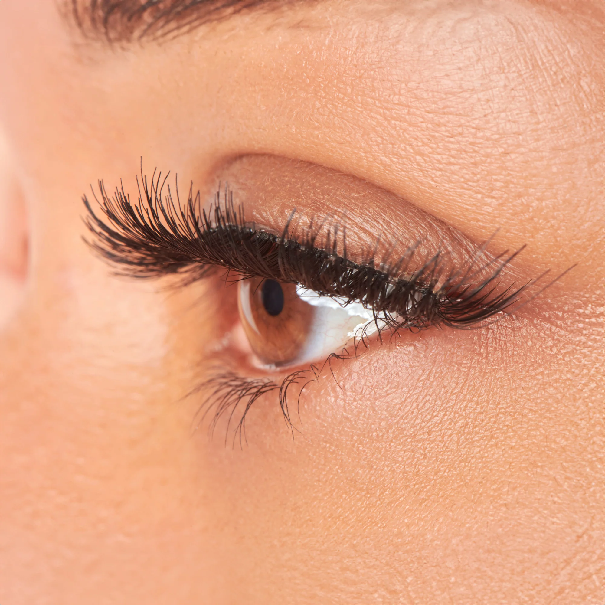 KISS So Wispy False Eyelashes Multipack - Pompadour - Image 2