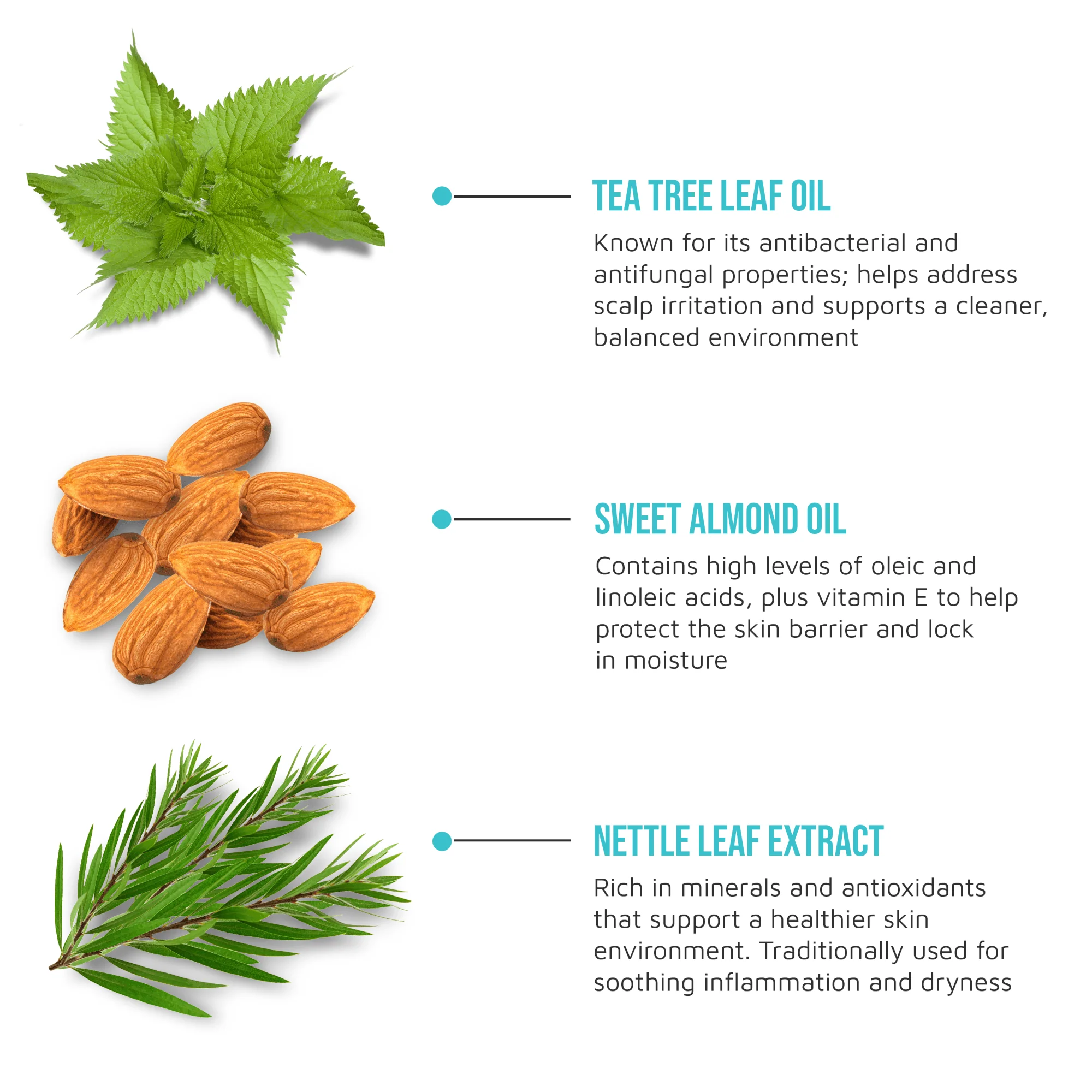 KISS Colors & Care Multivitamin Oil - Tea Tree - Image 8