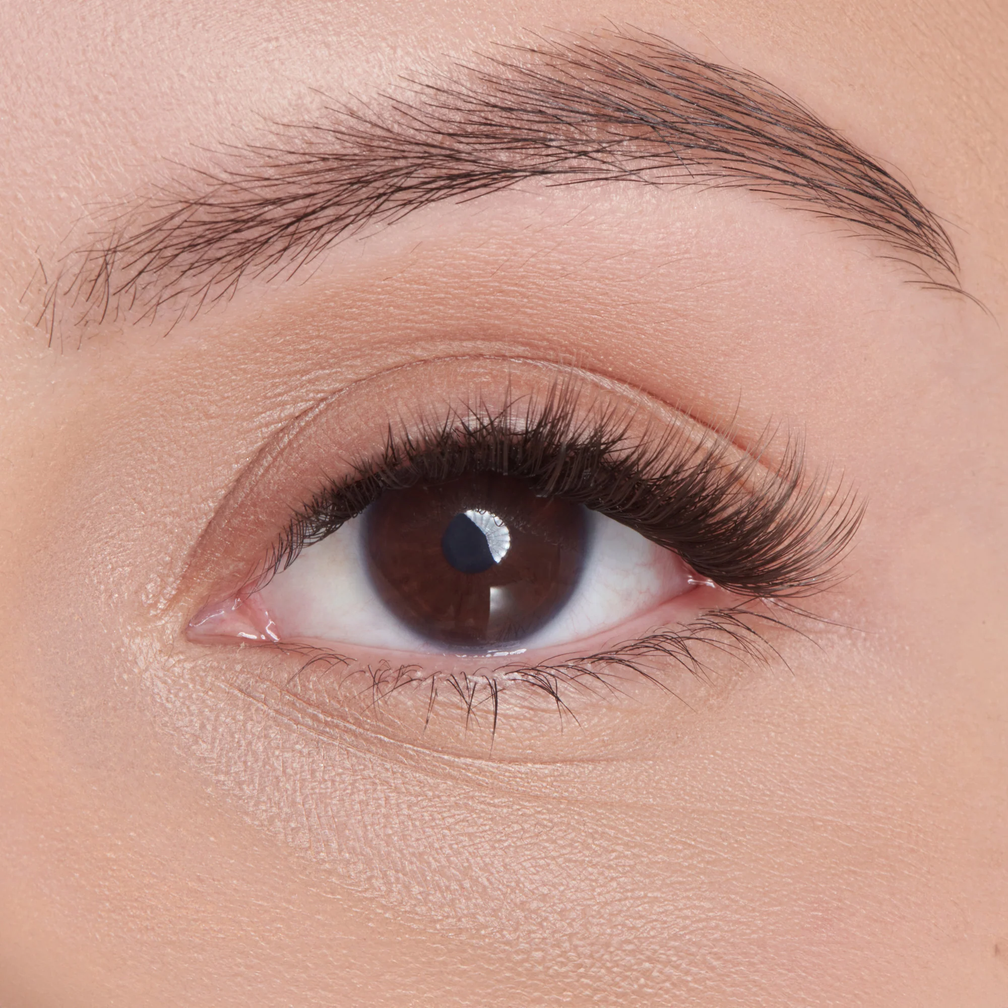 KISS Lash Atelier Individual Lash Extensions Design Kit – Wet Lash - Image 2