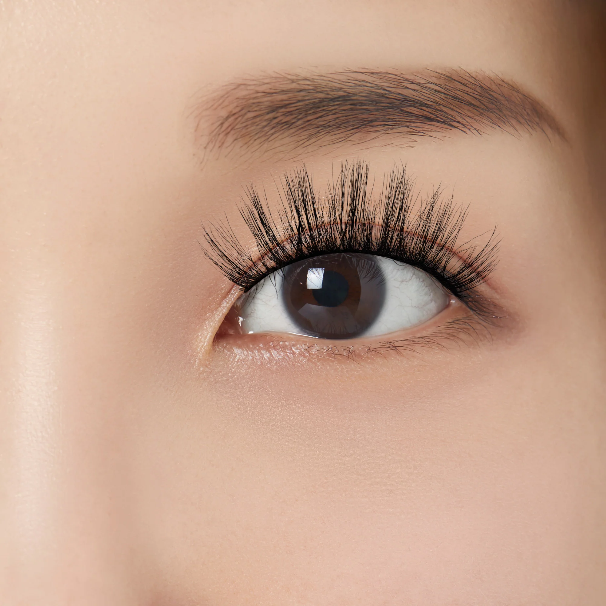 KISS Lash Couture Matte Black Multipack - Matte Cheviot - Image 3