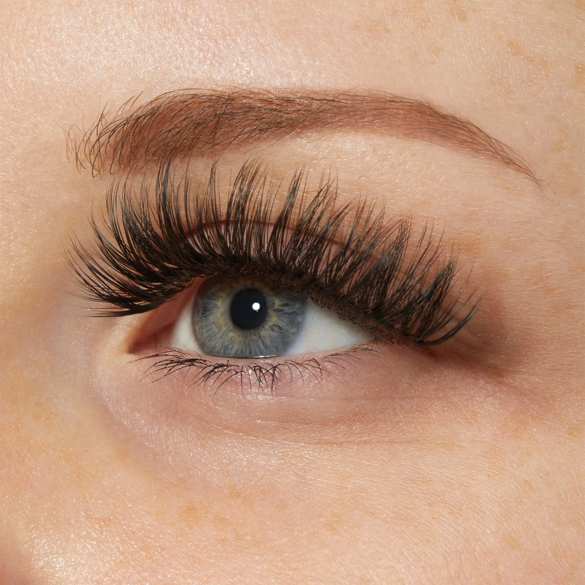 KISS My Lash But Bolder 3D Volume Eyelashes - Big Personality - Image 2
