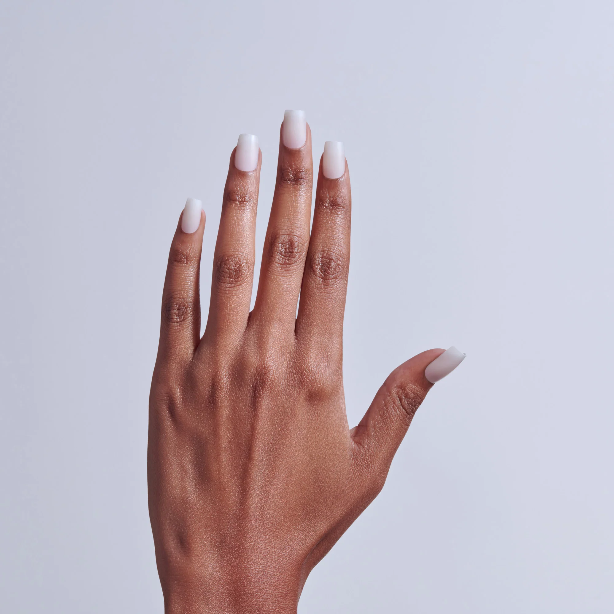 KISS Professional Full Cover Press On Nails - Absolutes - Image 2
