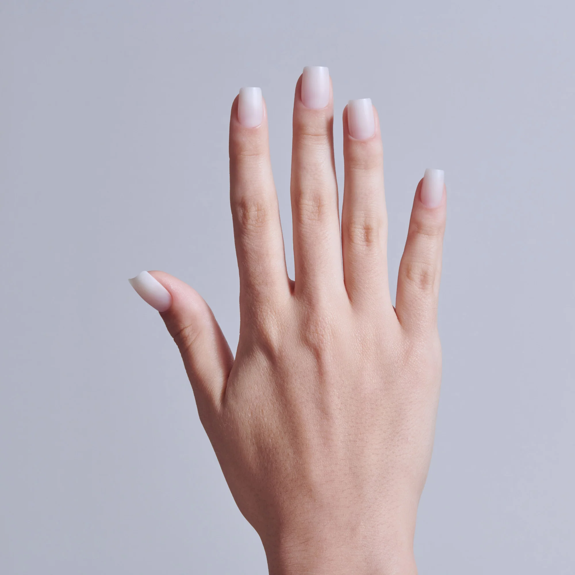 KISS Professional Full Cover Press On Nails - Ordinary Life - Image 2