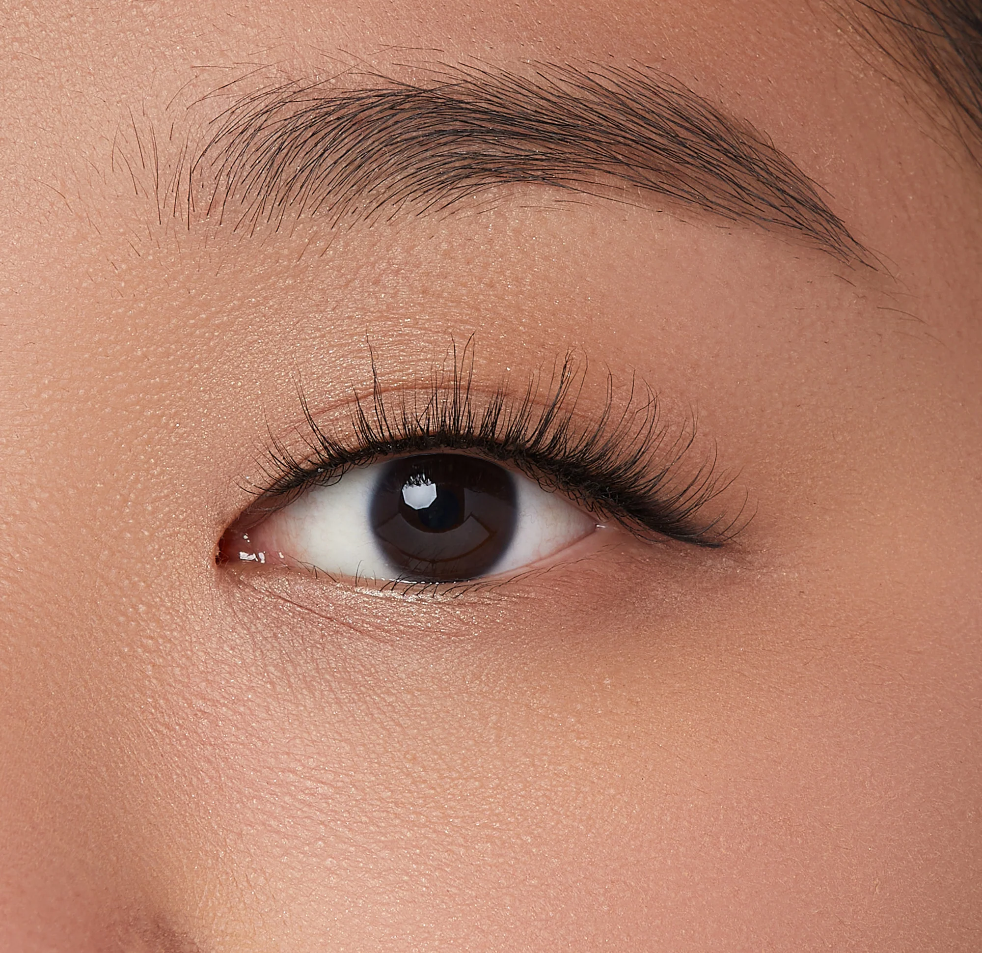 KISS Lash Couture Rebel Collection β volume up - Image 4