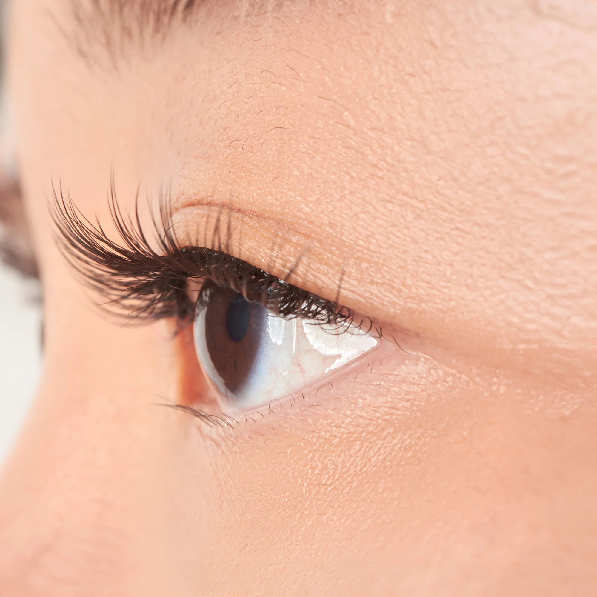 KISS My Lash But Better - No Filters - Image 2