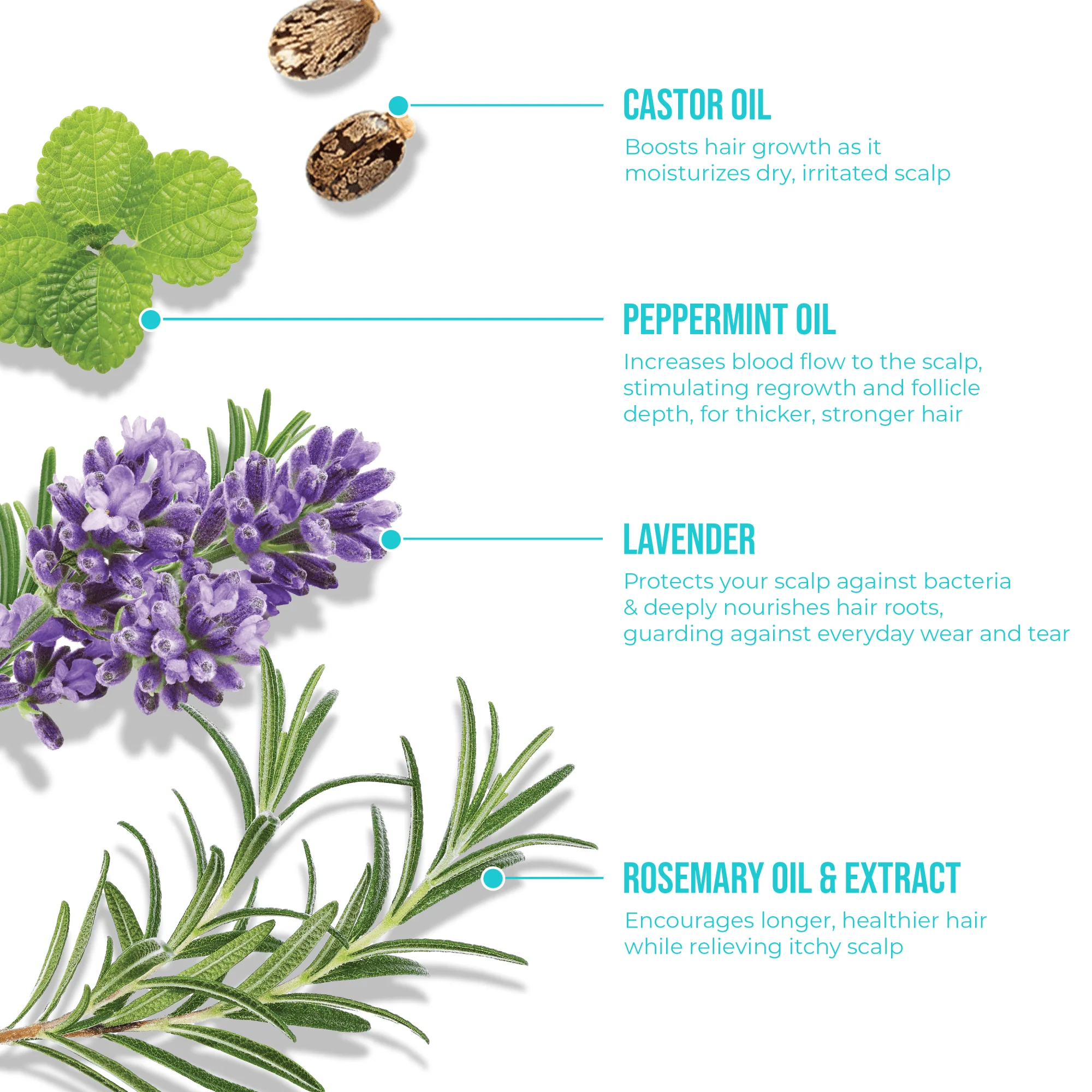 Healthy Hair Fixation Trio | Scalp Fixer Serum - Image 9