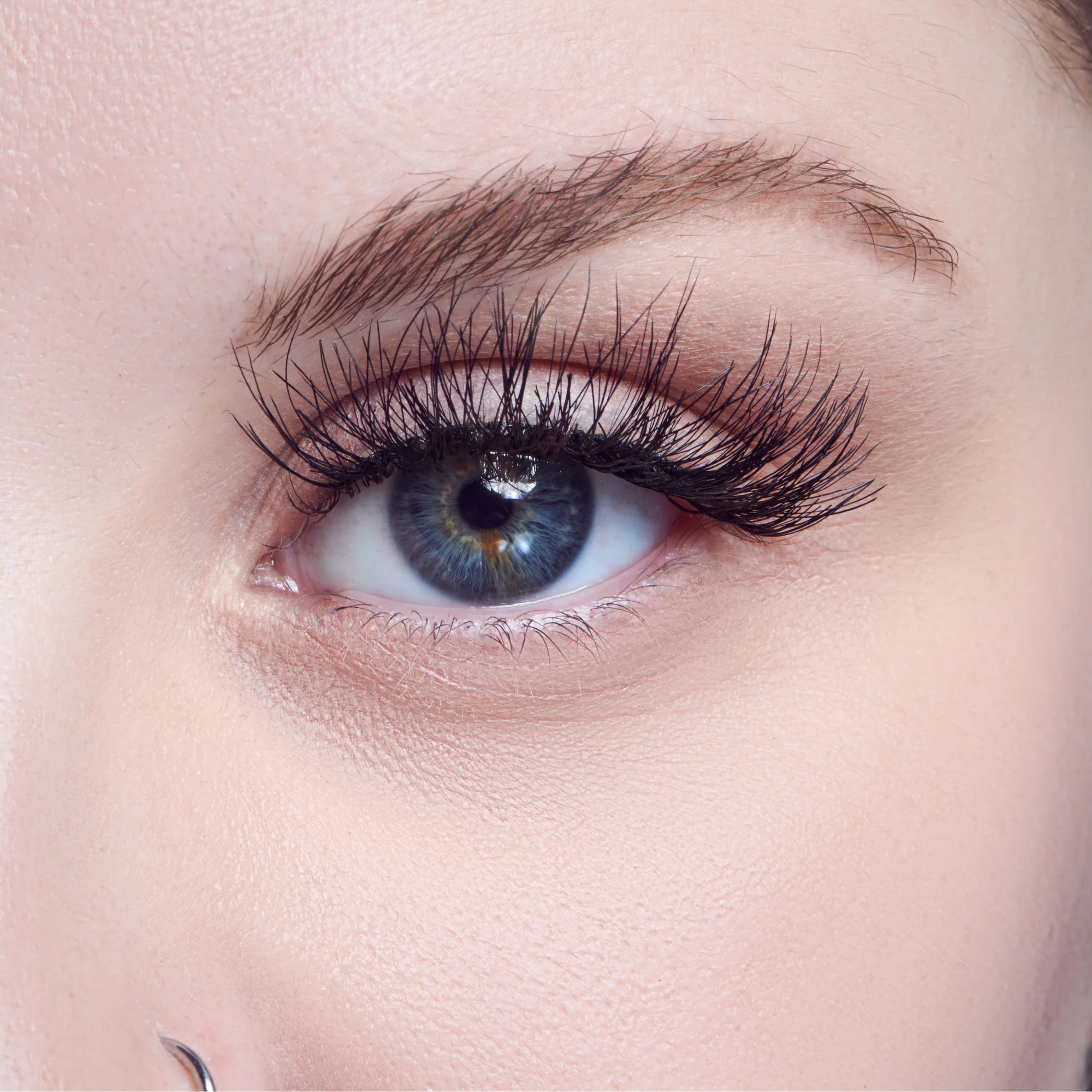 KISS Sister Nature False Eyelashes  - Dawn - Image 2
